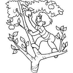 Disegno da colorare: albero di mele (Natura) #163793 - Pagine da Colorare Stampabili Gratuite