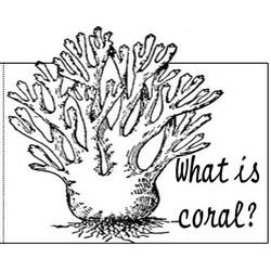Disegno da colorare: Corallo (Natura) #162907 - Pagine da Colorare Stampabili Gratuite
