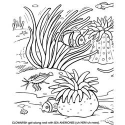 Disegno da colorare: Corallo (Natura) #162920 - Pagine da Colorare Stampabili Gratuite