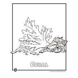 Disegno da colorare: Corallo (Natura) #162945 - Pagine da Colorare Stampabili Gratuite