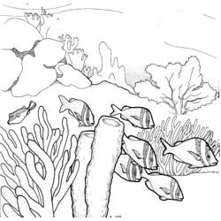 Disegno da colorare: Corallo (Natura) #162958 - Pagine da Colorare Stampabili Gratuite
