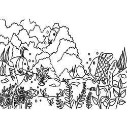 Disegno da colorare: Corallo (Natura) #162963 - Pagine da Colorare Stampabili Gratuite