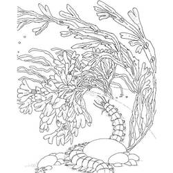 Disegno da colorare: Corallo (Natura) #162973 - Pagine da Colorare Stampabili Gratuite