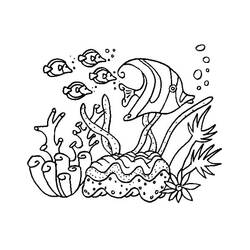 Disegno da colorare: Corallo (Natura) #162991 - Pagine da Colorare Stampabili Gratuite