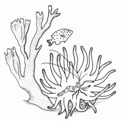 Disegno da colorare: Corallo (Natura) #163008 - Pagine da Colorare Stampabili Gratuite