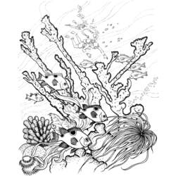 Disegno da colorare: Corallo (Natura) #163012 - Pagine da Colorare Stampabili Gratuite