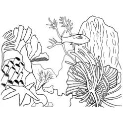 Disegno da colorare: Corallo (Natura) #163034 - Pagine da Colorare Stampabili Gratuite