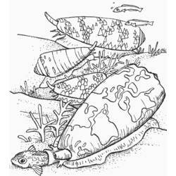 Disegno da colorare: Crostacei (Natura) #163195 - Pagine da Colorare Stampabili Gratuite
