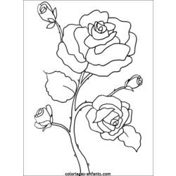 Disegno da colorare: fiori (Natura) #154967 - Pagine da Colorare Stampabili Gratuite