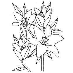 Disegno da colorare: fiori (Natura) #154969 - Pagine da Colorare Stampabili Gratuite