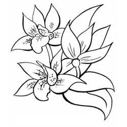 Disegno da colorare: fiori (Natura) #154979 - Pagine da Colorare Stampabili Gratuite