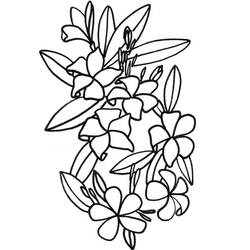 Disegno da colorare: fiori (Natura) #154984 - Pagine da Colorare Stampabili Gratuite