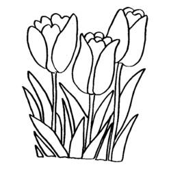 Disegno da colorare: fiori (Natura) #154991 - Pagine da Colorare Stampabili Gratuite