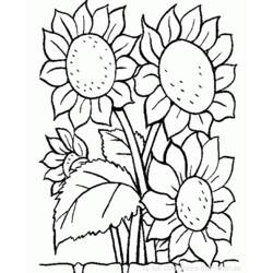 Disegno da colorare: fiori (Natura) #155000 - Pagine da Colorare Stampabili Gratuite