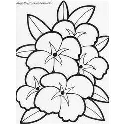 Disegno da colorare: fiori (Natura) #155030 - Pagine da Colorare Stampabili Gratuite
