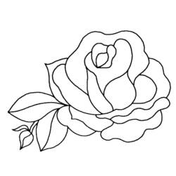 Disegno da colorare: fiori (Natura) #155039 - Pagine da Colorare Stampabili Gratuite