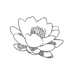 Disegno da colorare: fiori (Natura) #155093 - Pagine da Colorare Stampabili Gratuite