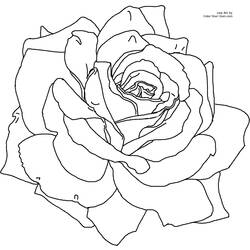Disegno da colorare: fiori (Natura) #155098 - Pagine da Colorare Stampabili Gratuite