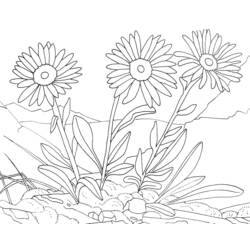 Disegno da colorare: fiori (Natura) #155116 - Pagine da Colorare Stampabili Gratuite
