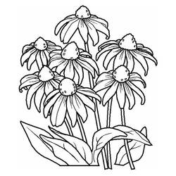 Disegno da colorare: fiori (Natura) #155142 - Pagine da Colorare Stampabili Gratuite