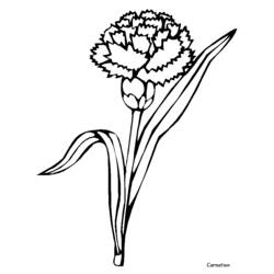 Disegno da colorare: fiori (Natura) #155180 - Pagine da Colorare Stampabili Gratuite