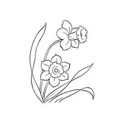 Disegno da colorare: fiori (Natura) #155250 - Pagine da Colorare Stampabili Gratuite