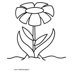 Disegno da colorare: fiori (Natura) #155264 - Pagine da Colorare Stampabili Gratuite