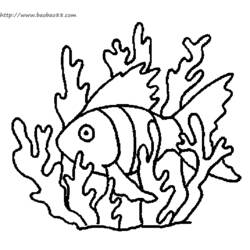Disegno da colorare: Fondale marino (Natura) #160144 - Pagine da Colorare Stampabili Gratuite