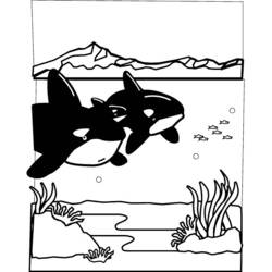 Disegno da colorare: Fondale marino (Natura) #160214 - Pagine da Colorare Stampabili Gratuite