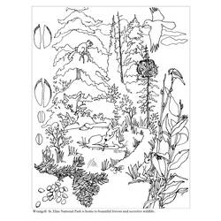 Disegno da colorare: foresta (Natura) #157007 - Pagine da Colorare Stampabili Gratuite