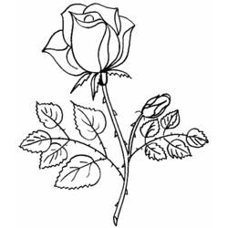 Disegno da colorare: Mazzo di fiori (Natura) #160736 - Pagine da Colorare Stampabili Gratuite