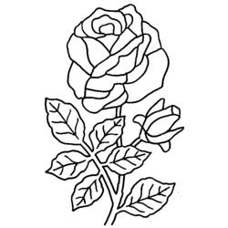 Disegno da colorare: Mazzo di fiori (Natura) #160738 - Pagine da Colorare Stampabili Gratuite