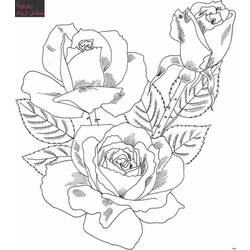 Disegno da colorare: Mazzo di fiori (Natura) #160739 - Pagine da Colorare Stampabili Gratuite