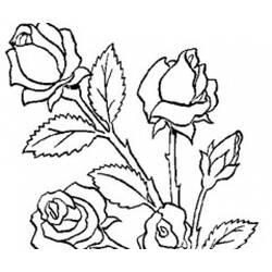Disegno da colorare: Mazzo di fiori (Natura) #160747 - Pagine da Colorare Stampabili Gratuite