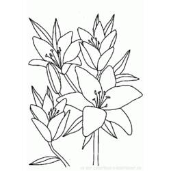 Disegno da colorare: Mazzo di fiori (Natura) #160788 - Pagine da Colorare Stampabili Gratuite