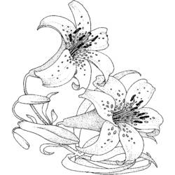 Disegno da colorare: Mazzo di fiori (Natura) #160834 - Pagine da Colorare Stampabili Gratuite