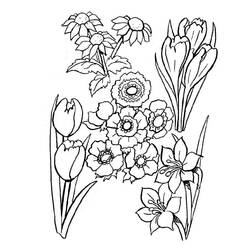 Disegno da colorare: Mazzo di fiori (Natura) #160855 - Pagine da Colorare Stampabili Gratuite
