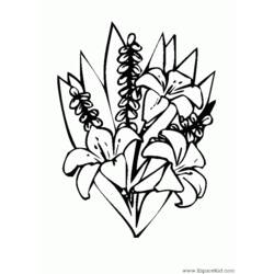 Disegno da colorare: Mazzo di fiori (Natura) #160891 - Pagine da Colorare Stampabili Gratuite