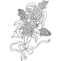 Disegno da colorare: Mazzo di fiori (Natura) #160994 - Pagine da Colorare Stampabili Gratuite
