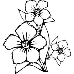 Disegno da colorare: Mazzo di fiori (Natura) #161003 - Pagine da Colorare Stampabili Gratuite
