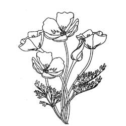Disegno da colorare: Mazzo di fiori (Natura) #161045 - Pagine da Colorare Stampabili Gratuite