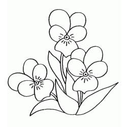 Disegno da colorare: Mazzo di fiori (Natura) #161093 - Pagine da Colorare Stampabili Gratuite
