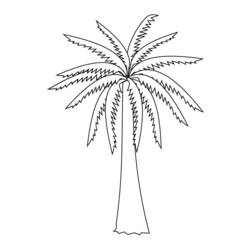Disegno da colorare: Palma (Natura) #161137 - Pagine da Colorare Stampabili Gratuite