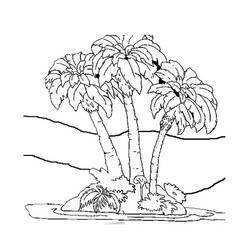 Disegno da colorare: Palma (Natura) #161153 - Pagine da Colorare Stampabili Gratuite
