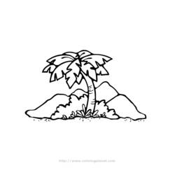 Disegno da colorare: Palma (Natura) #161169 - Pagine da Colorare Stampabili Gratuite