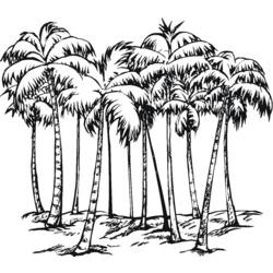 Disegno da colorare: Palma (Natura) #161177 - Pagine da Colorare Stampabili Gratuite