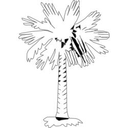 Disegno da colorare: Palma (Natura) #161228 - Pagine da Colorare Stampabili Gratuite