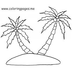 Disegno da colorare: Palma (Natura) #161278 - Pagine da Colorare Stampabili Gratuite
