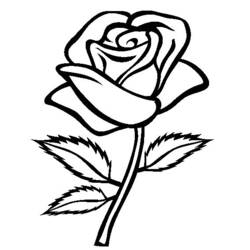 Disegno da colorare: Rose (Natura) #161865 - Pagine da Colorare Stampabili Gratuite