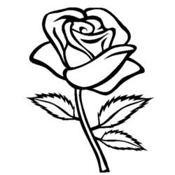 Disegno da colorare: Rose (Natura) #161866 - Pagine da Colorare Stampabili Gratuite